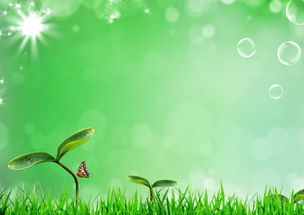 綠色自然環保高清背景圖psd下載